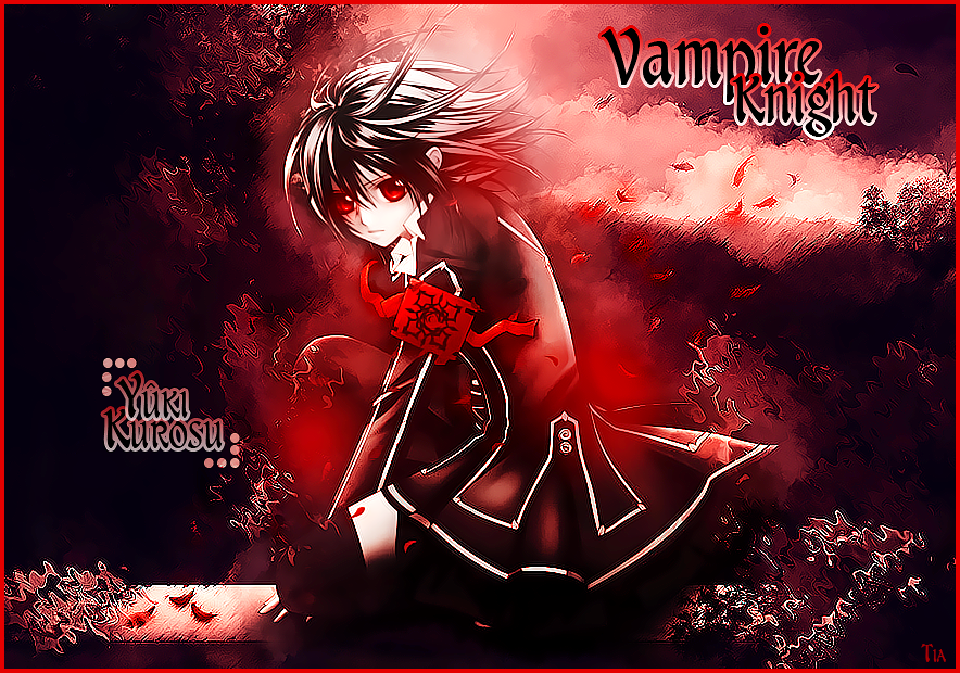 LP Vampire Knight