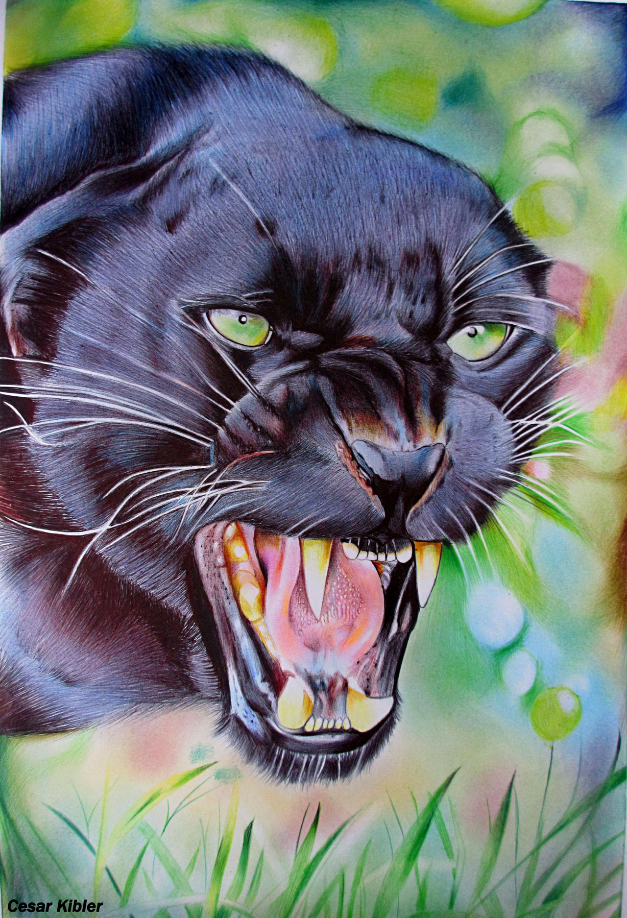 Angry Panther- Ballpoint pen on paper by CesarKibler on DeviantArt Angry Panther- Ballpoint pen on paper by CesarKibler on DeviantArt