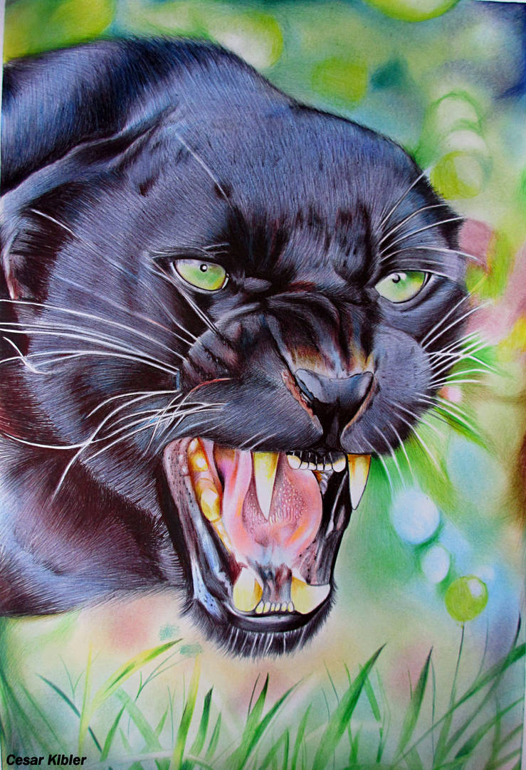 Angry Panther- Ballpoint pen on paper by CesarKibler on DeviantArt