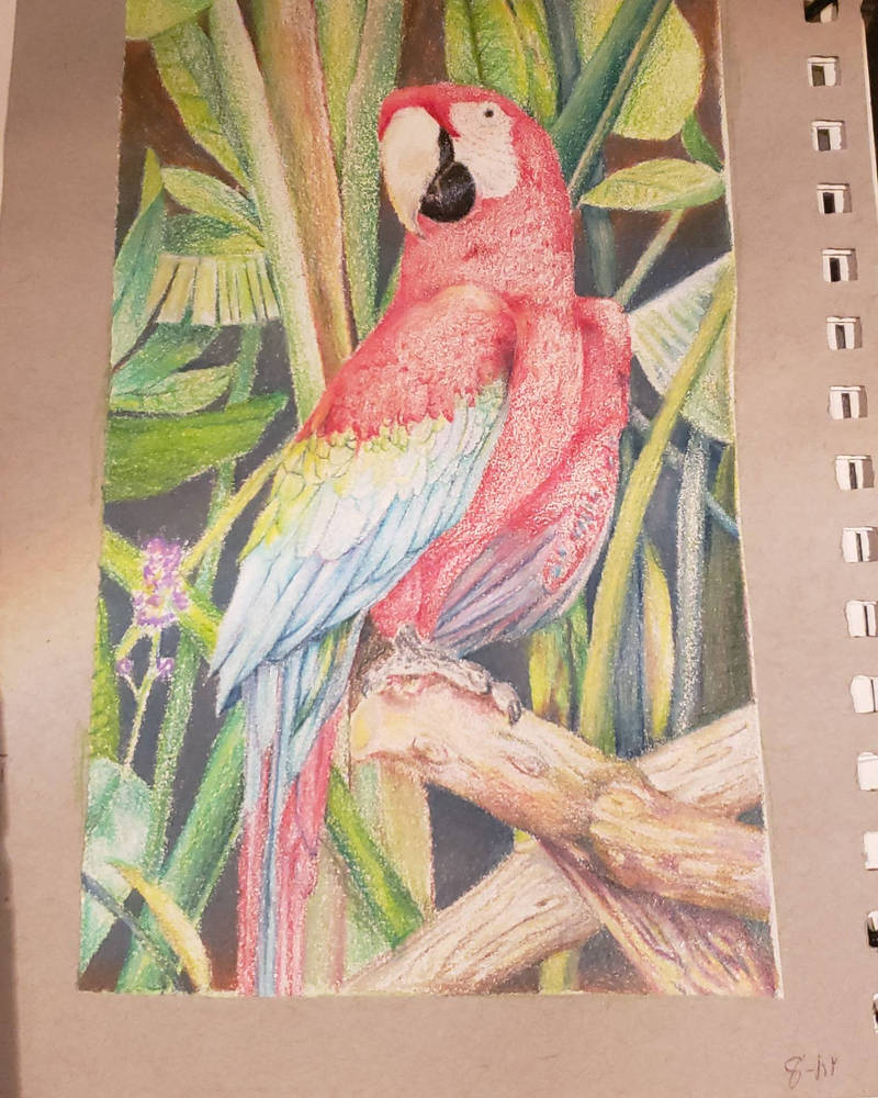 Drawing Abstract Prismacoloits prismacolor drawing by drawoops on DeviantArt
