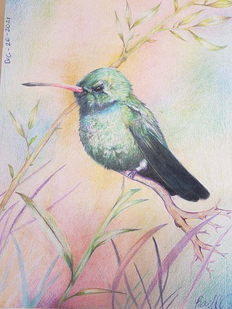 Drawing Abstract Prismacoloits prismacolor birds by drawoops on DeviantArt