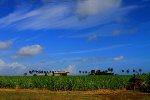 Bundaberg, QLD