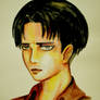 Levi Rivaille Trial
