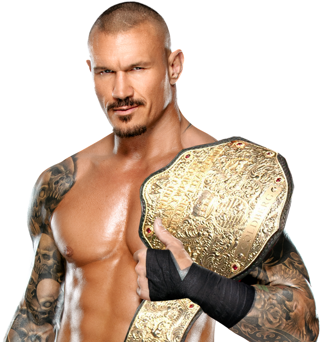 Randy Orton WWE World Heavyweight Champion by WalkerAsylum21 on DeviantArt