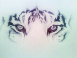 tiger eyes