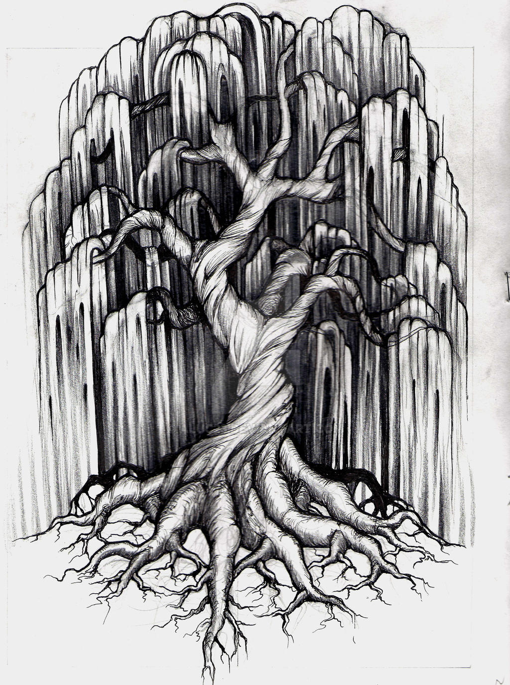 Willow Tree Tattoo by aluc23 on DeviantArt