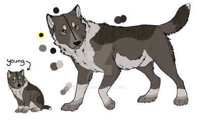 Wolf Adoptable 01 - CLOSED