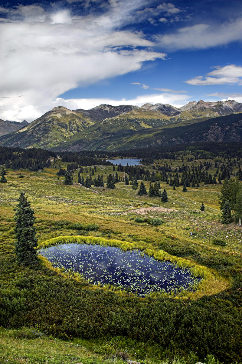 Lilly Pond at Molas Pass