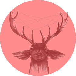 Deer pink