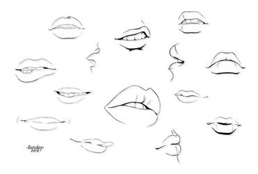 Lips study line