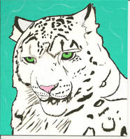 Snow Leopard