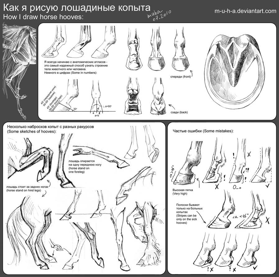 tutorial - horse hooves by m-u-h-a