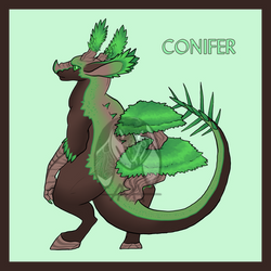 [BNOM] Conifer