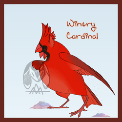 [BNOM] S-OLSTICE: Wintry Cardinal