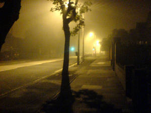 Foggy Street