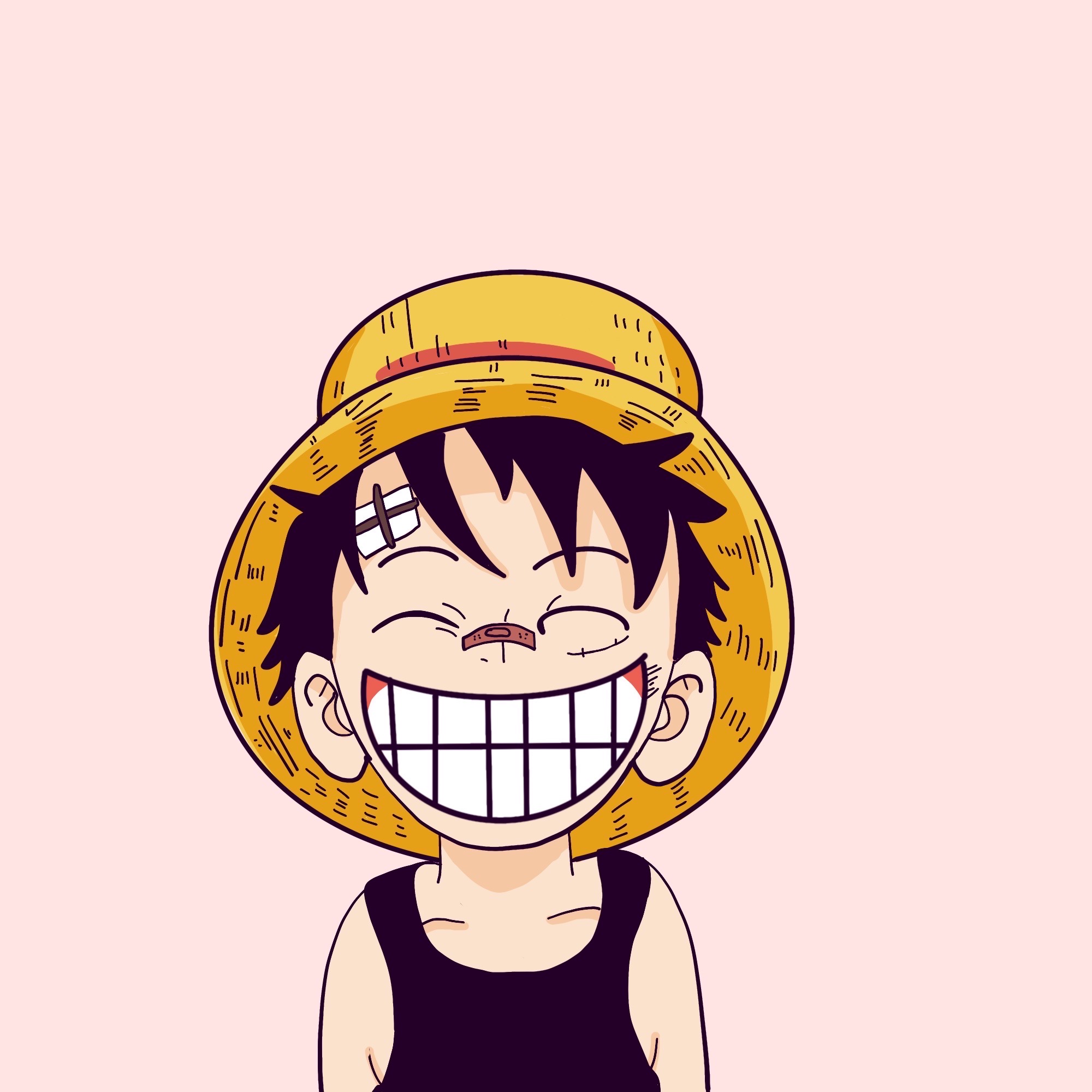 Luffy baby