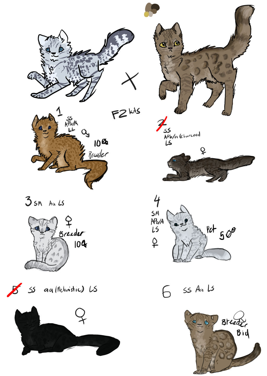 Spotted Wind x Silver Thorn .:Adoptables.2/6Open:.