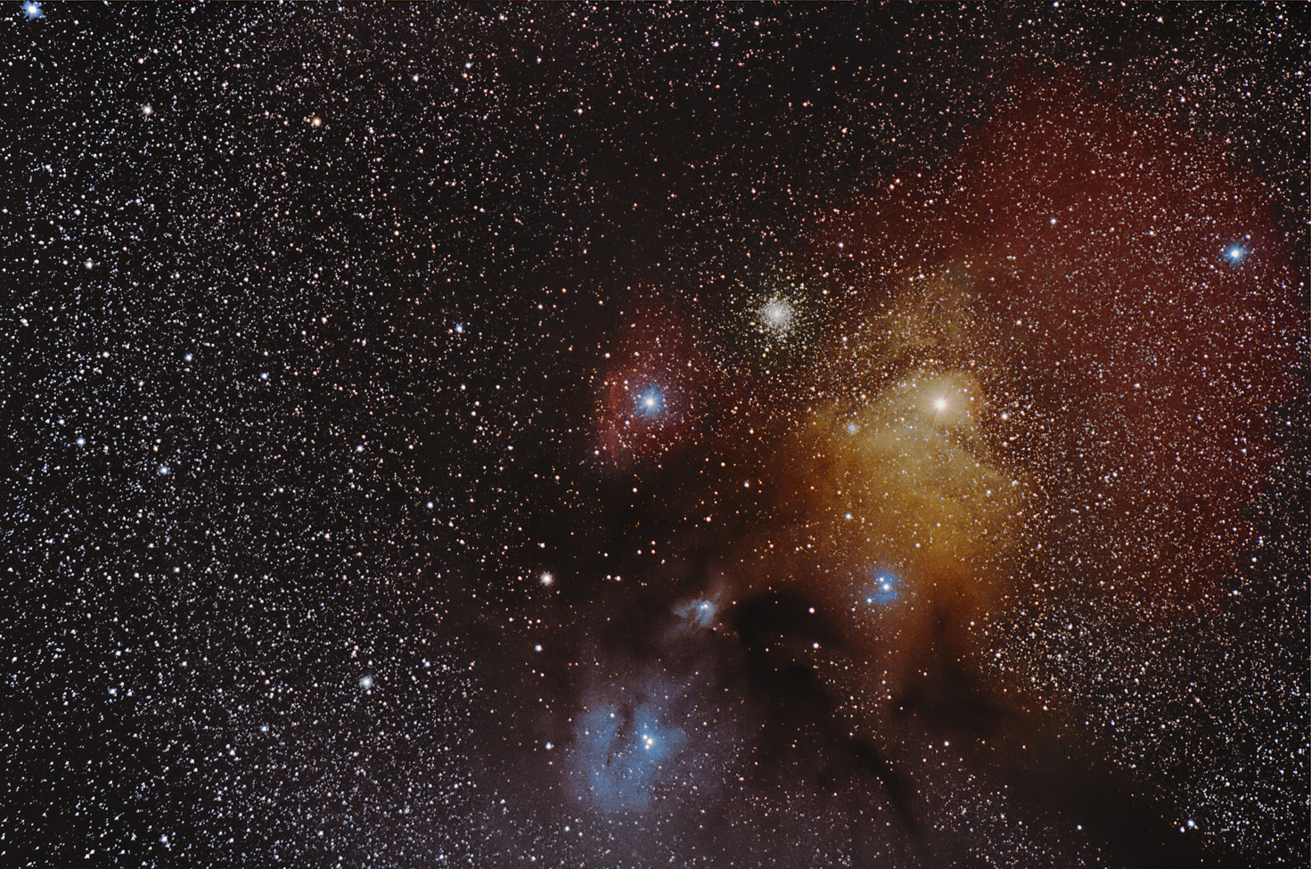 Rho Ophiuchi Cloud Complex