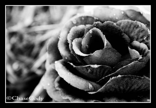 His Grave Flowers III