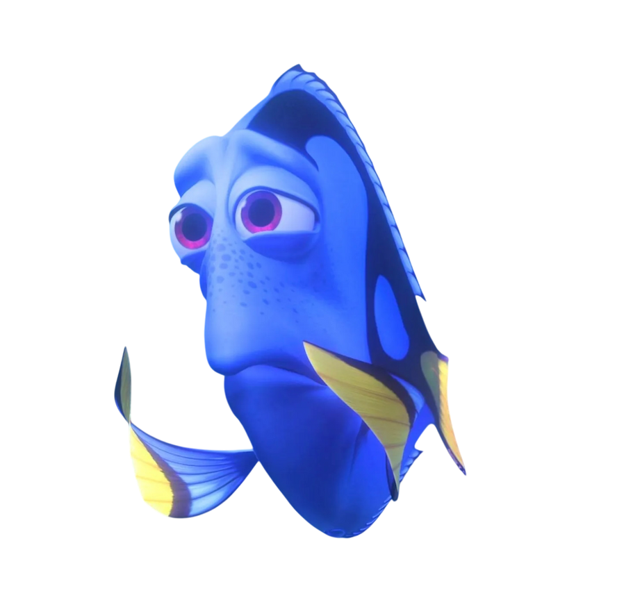 Sad Dory Custom PNG (Finding Nemo) by SpongeBobOtherShows1 on DeviantArt