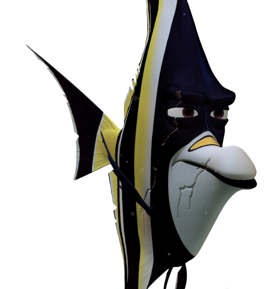Gill Staring Custom PNG Finding Nemo By SpongeBobOtherShows1 On gill-staring-custom-png-finding-nemo-by-spongebobothershows1-on