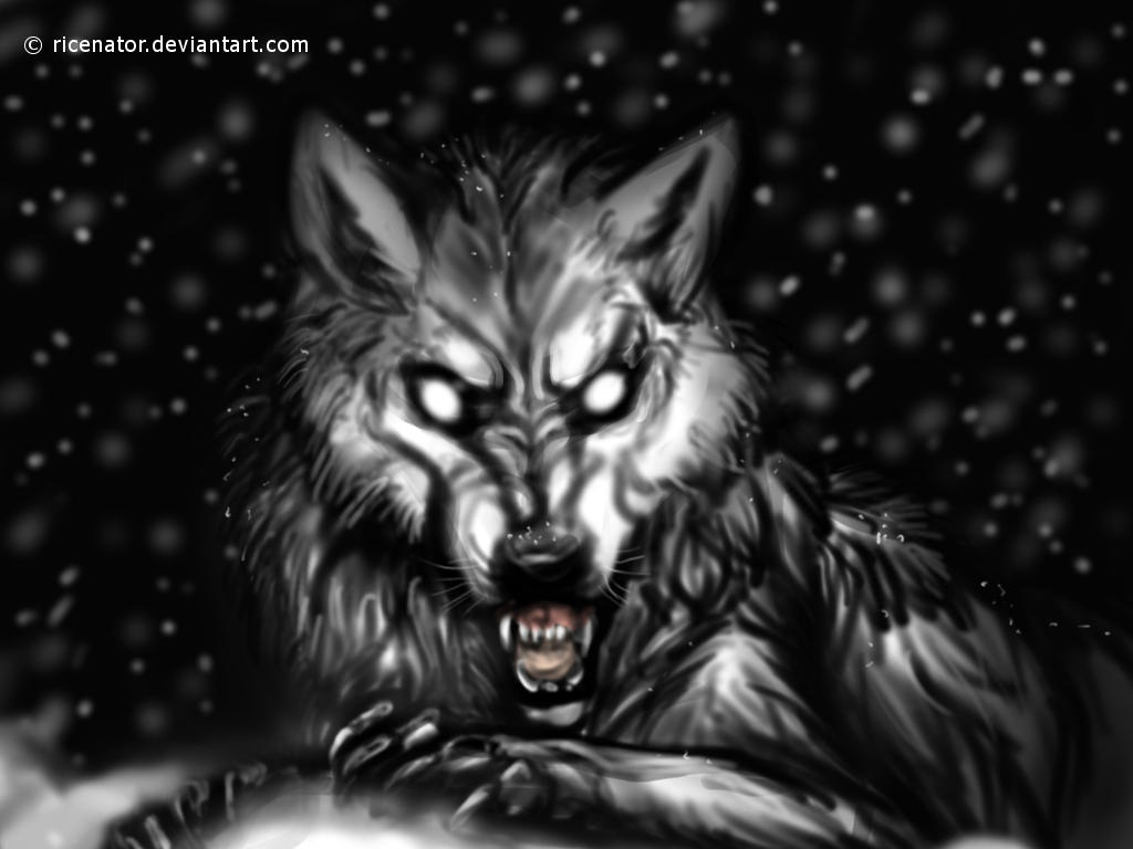 Волк глава 3. Волк рисунок простой. Злой волк раскраска. Рисунок волка агрессивного и спокойного.