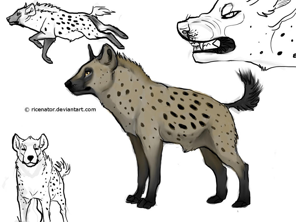 Spotted Hyena by SquishyMew on DeviantArt