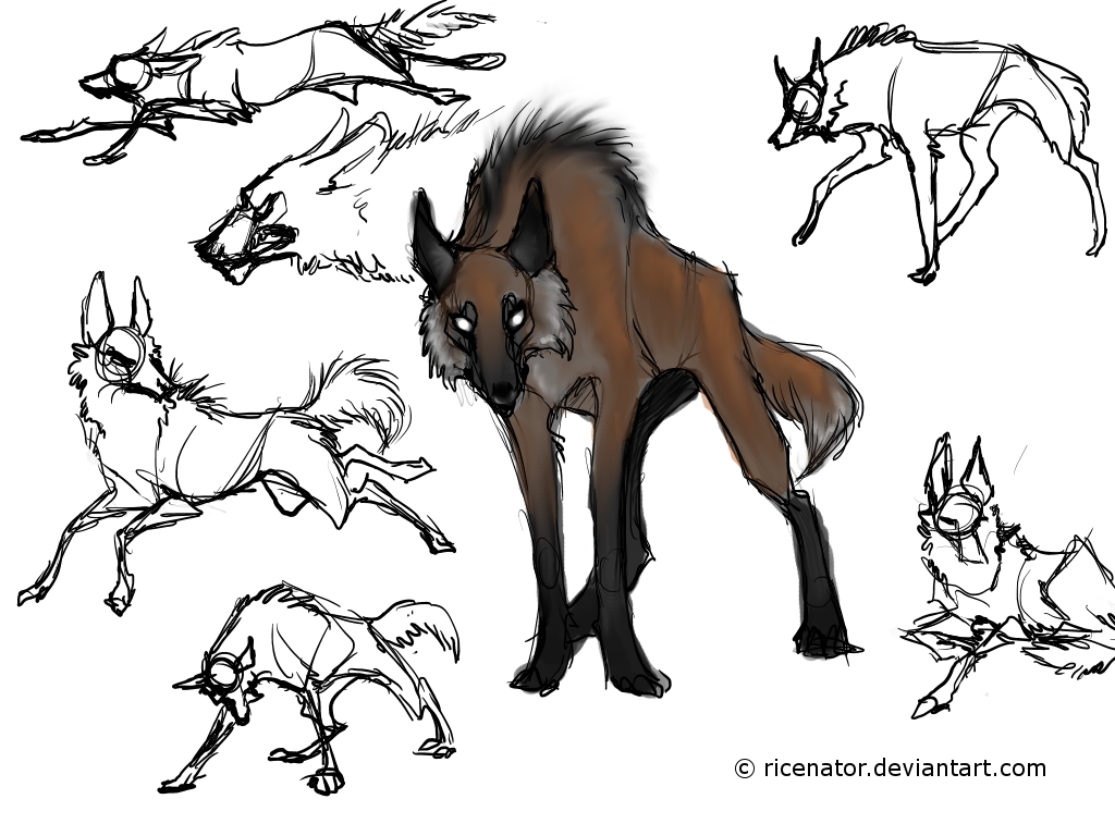 Maned Wolf