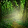 Fantasy Forest