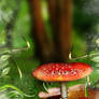 Toadstool Woodland background