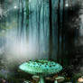 Blue Mushroom forest