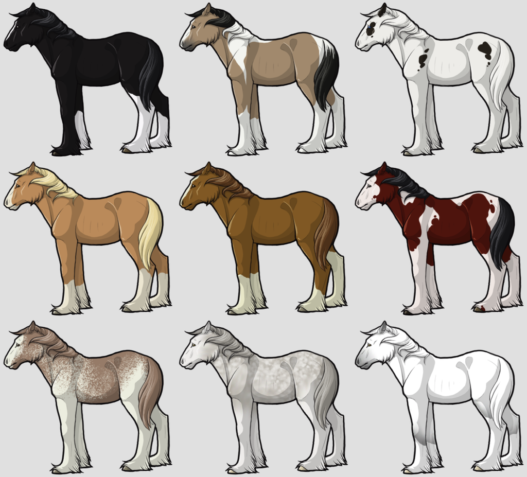 Foal Adoptables 2