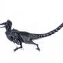 Generic velociraptorinae