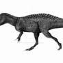 Suchomimus tenerensis