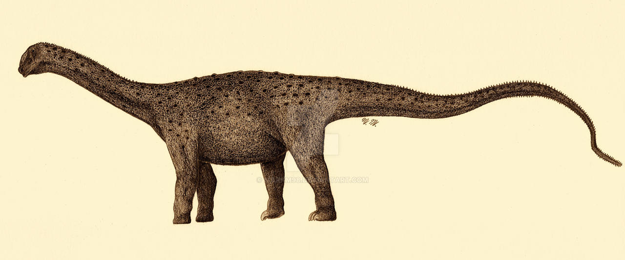 Saltasaurus loricatus by MarkM98 on DeviantArt