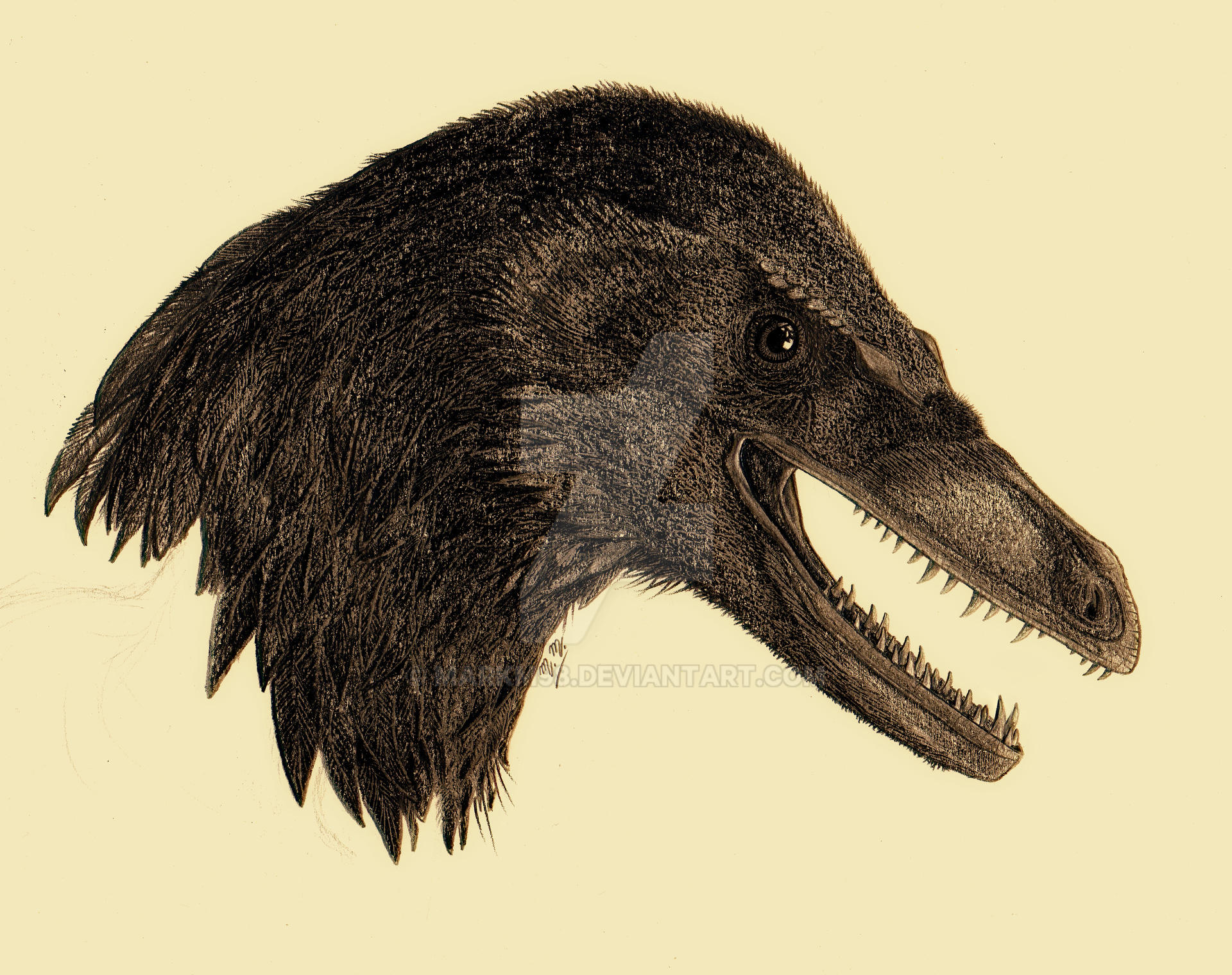 Sinornithosaurus Sinornithosaurus by MarkM98 on DeviantArt