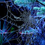 Frozen Web I