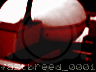 fastbreed 1