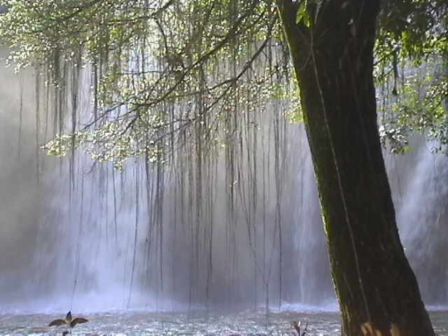  Paronella WaterFall