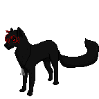 Commission - Xana-Akai