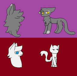 Cats Part 1(maybe)