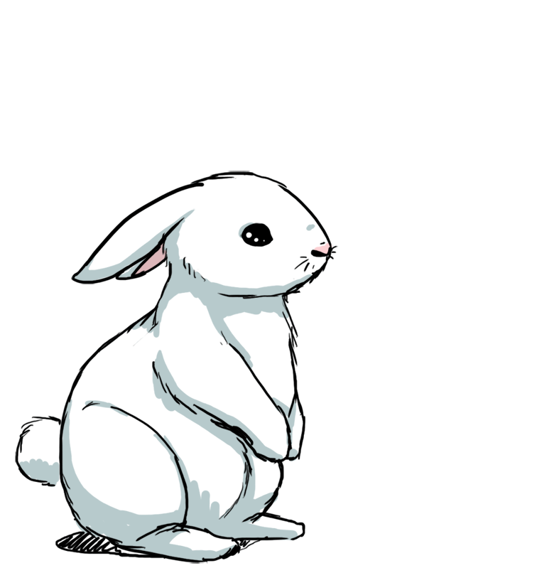 Кролик на белом фоне. Кролик гифка. Белый кролик гиф. Заяц рисунок. Rabbit gif