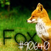 fox - one.