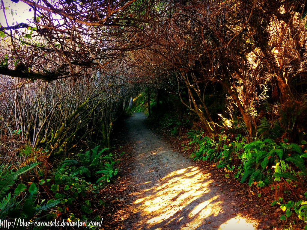 Favorite Pathway Pathway by Blue-Carousels on DeviantArt