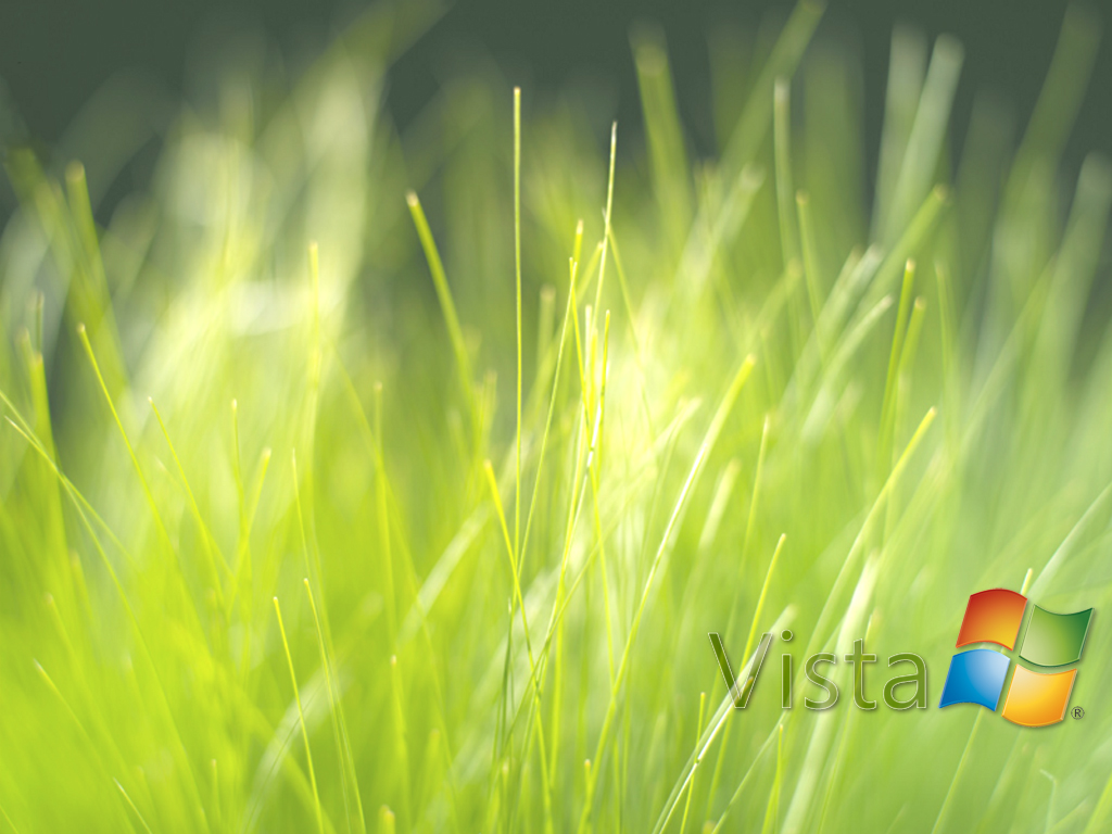 Vista Grass