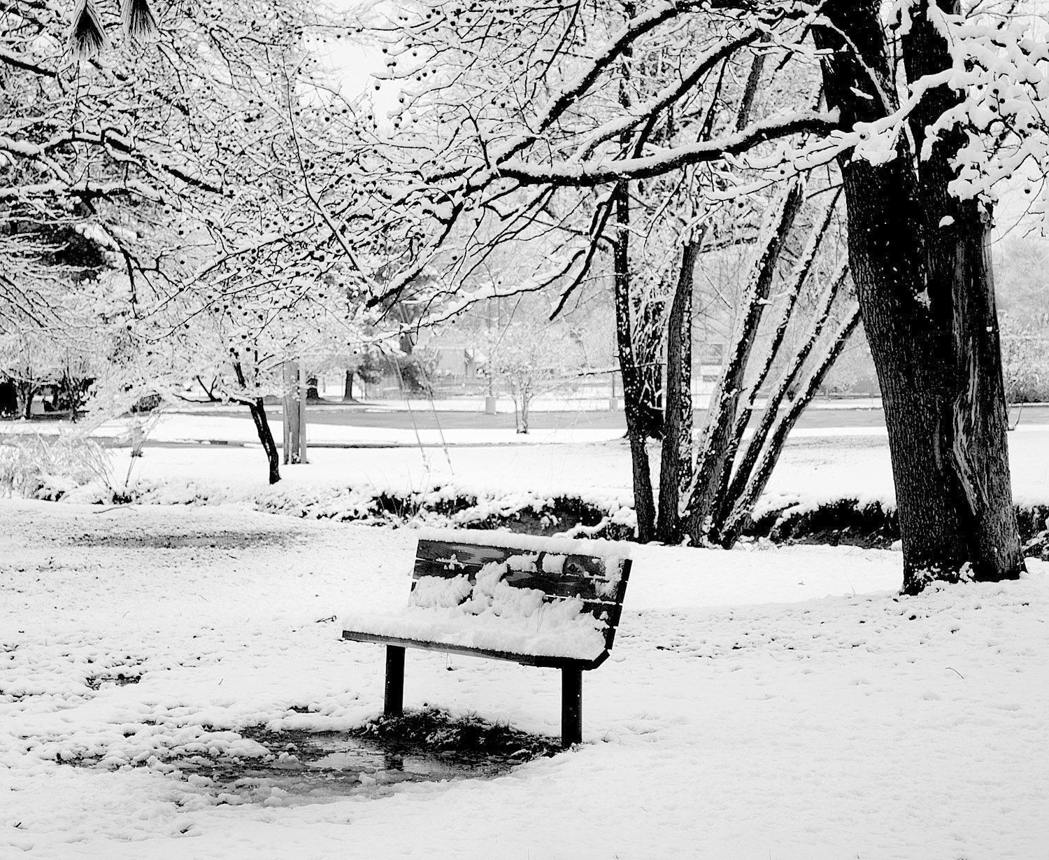 Lonely Bench