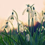 Untitled_1