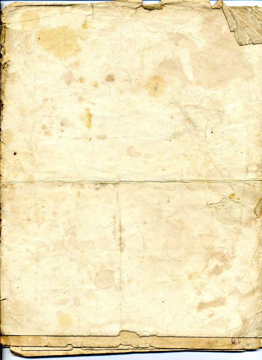 Old paper texture 2