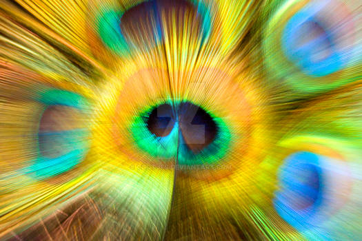 peacock a different way