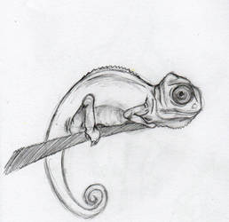 Chameleon Sketch :u